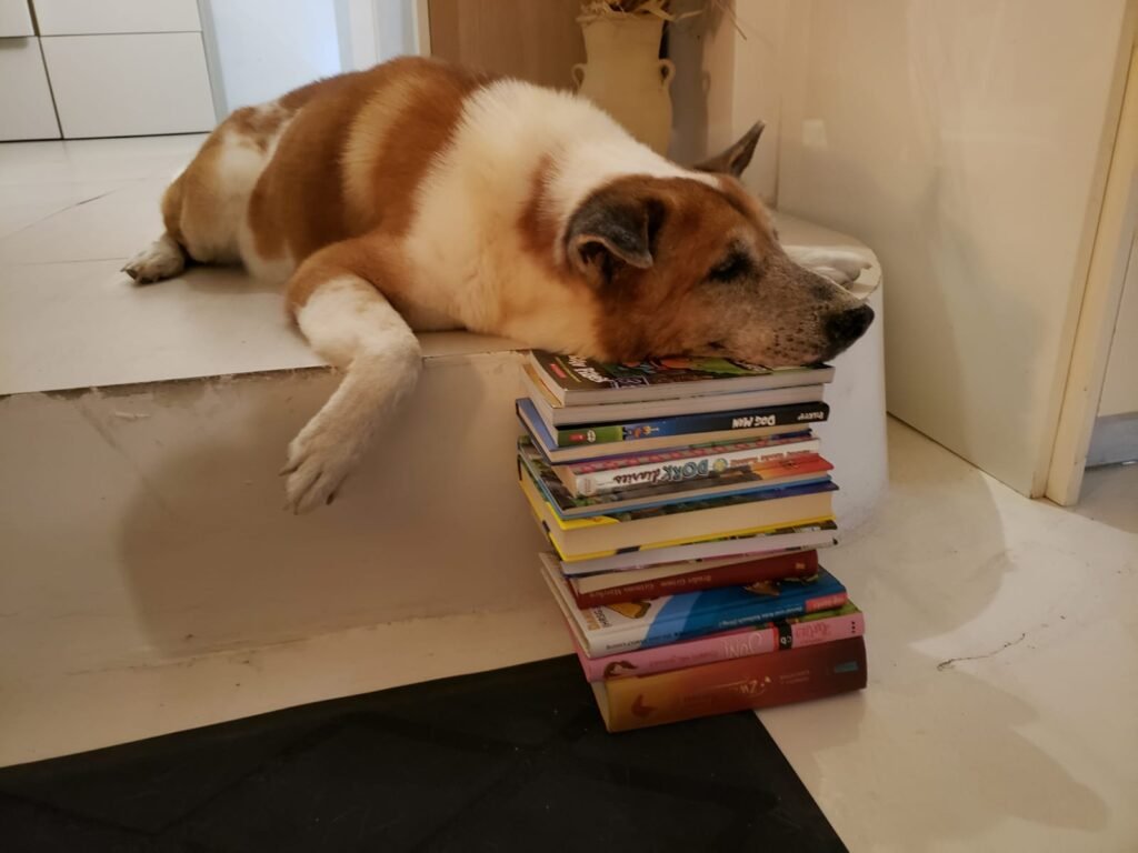 bookworm dog